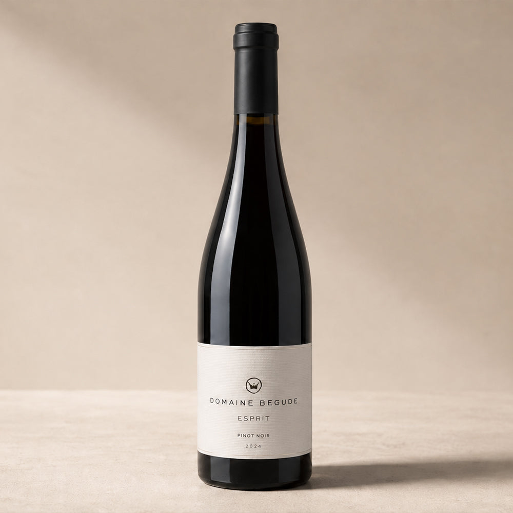 Domaine Begude — Esprit, Pinot Noir 2024 ドメーヌ・ベギュード ― エスプリ・ピノ・ノワール 2024